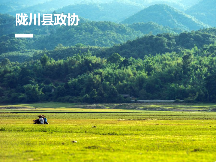 陇川县政协信息化平台