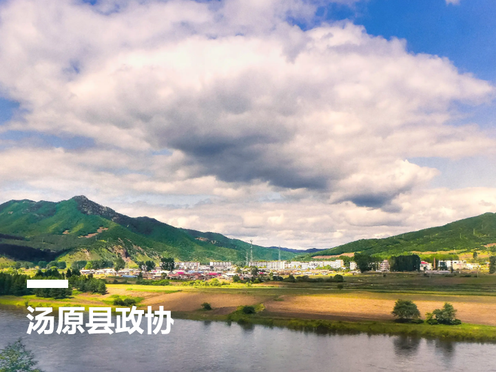 汤原县“智慧政协”