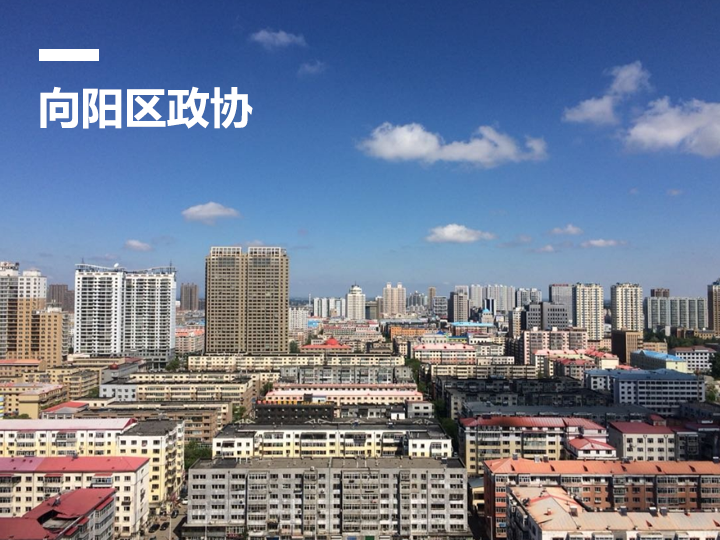佳木斯市向阳区“智慧政协”