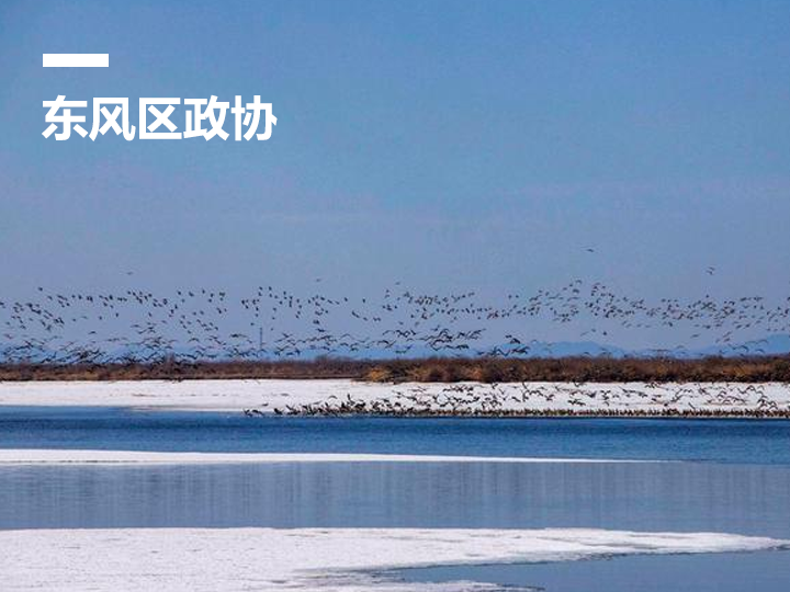 东风区“智慧政协”